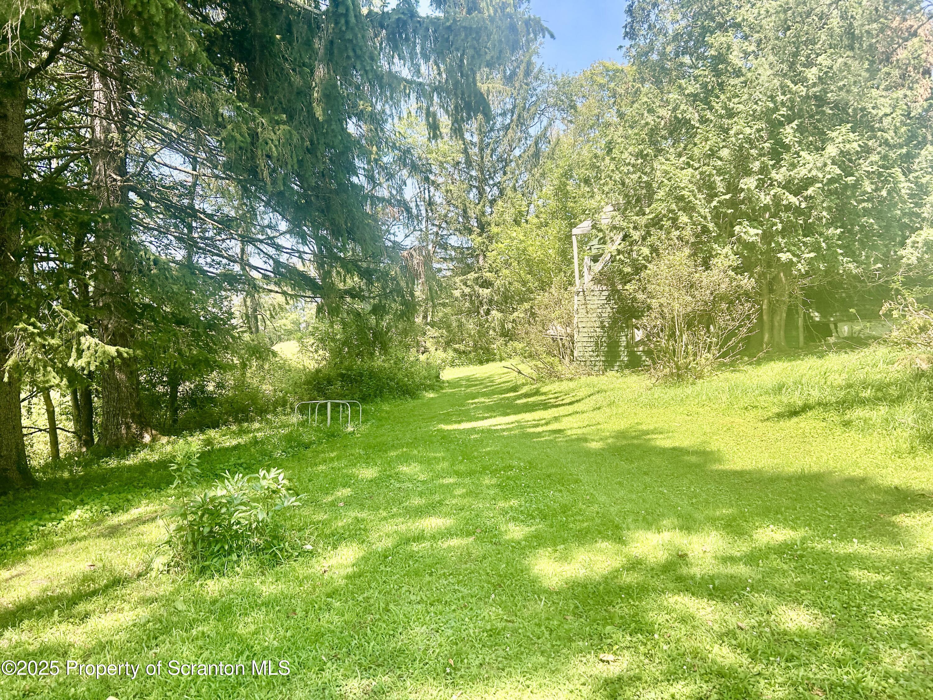 270 Starrucca Creek Road Starrucca, PA 18462 - Photo 41 of 51 Yard