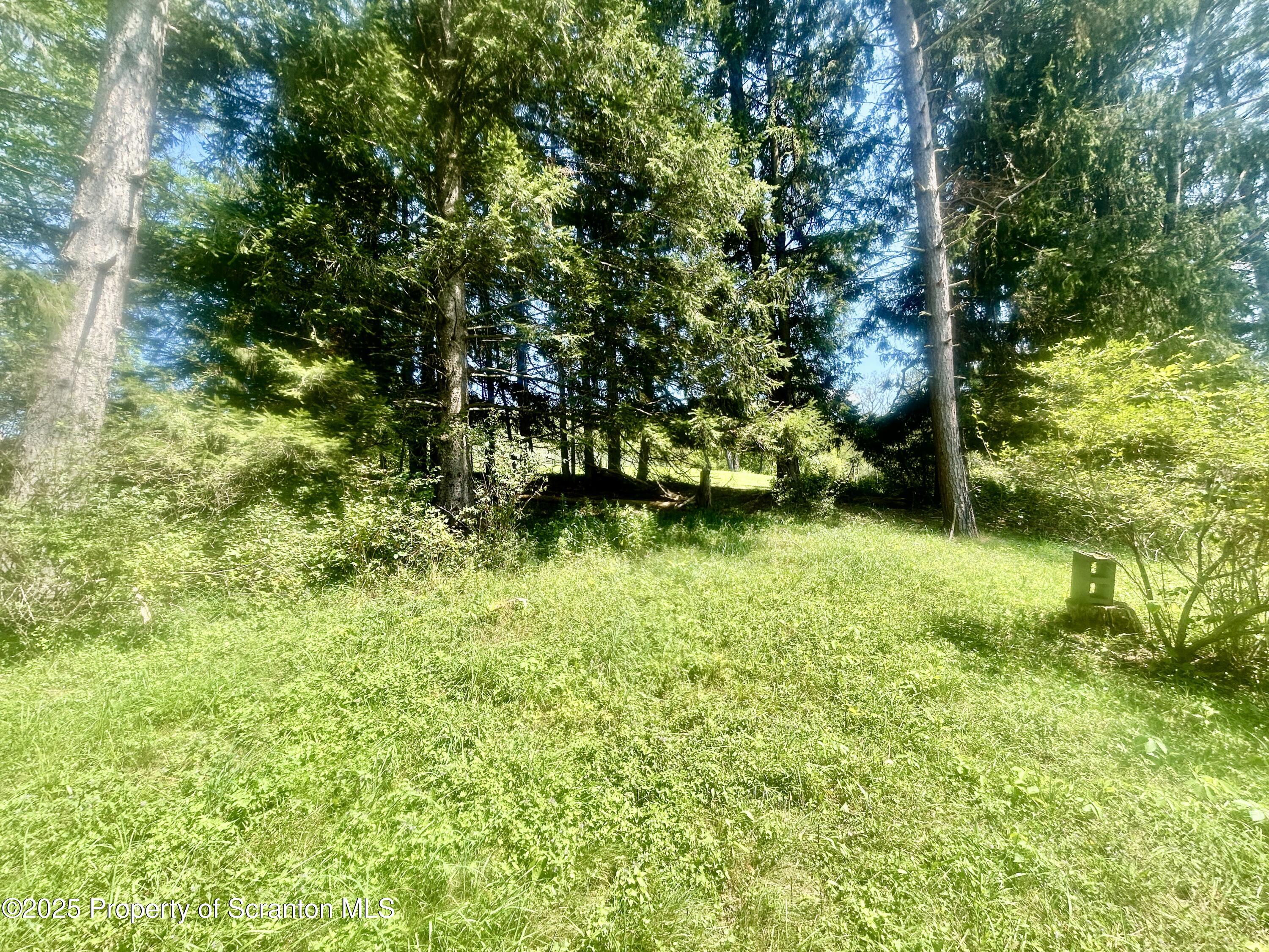 270 Starrucca Creek Road Starrucca, PA 18462 - Photo 42 of 51 Yard