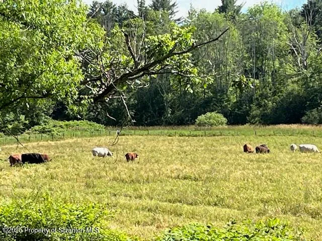 $174,000 | 270 Starrucca Creek Road, Starrucca, PA 18462