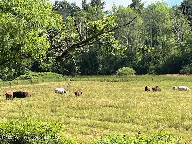 270 Starrucca Creek Road Starrucca, PA 18462 - Photo 43 of 51 Yard