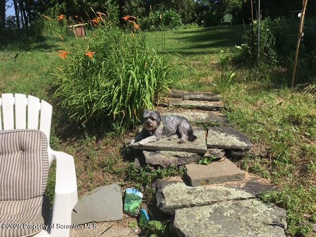 270 Starrucca Creek Road Starrucca, PA 18462 - Photo 44 of 51 Yard