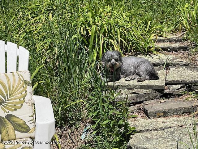 270 Starrucca Creek Road Starrucca, PA 18462 - Photo 45 of 51 Yard
