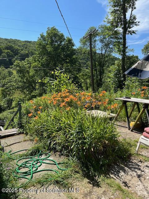 270 Starrucca Creek Road Starrucca, PA 18462 - Photo 46 of 51 Yard