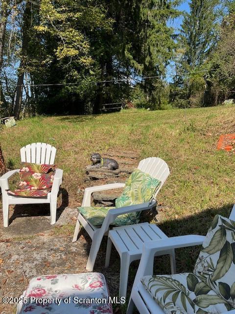 270 Starrucca Creek Road Starrucca, PA 18462 - Photo 47 of 51 Yard