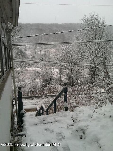 270 Starrucca Creek Road Starrucca, PA 18462 - Photo 50 of 51 Yard