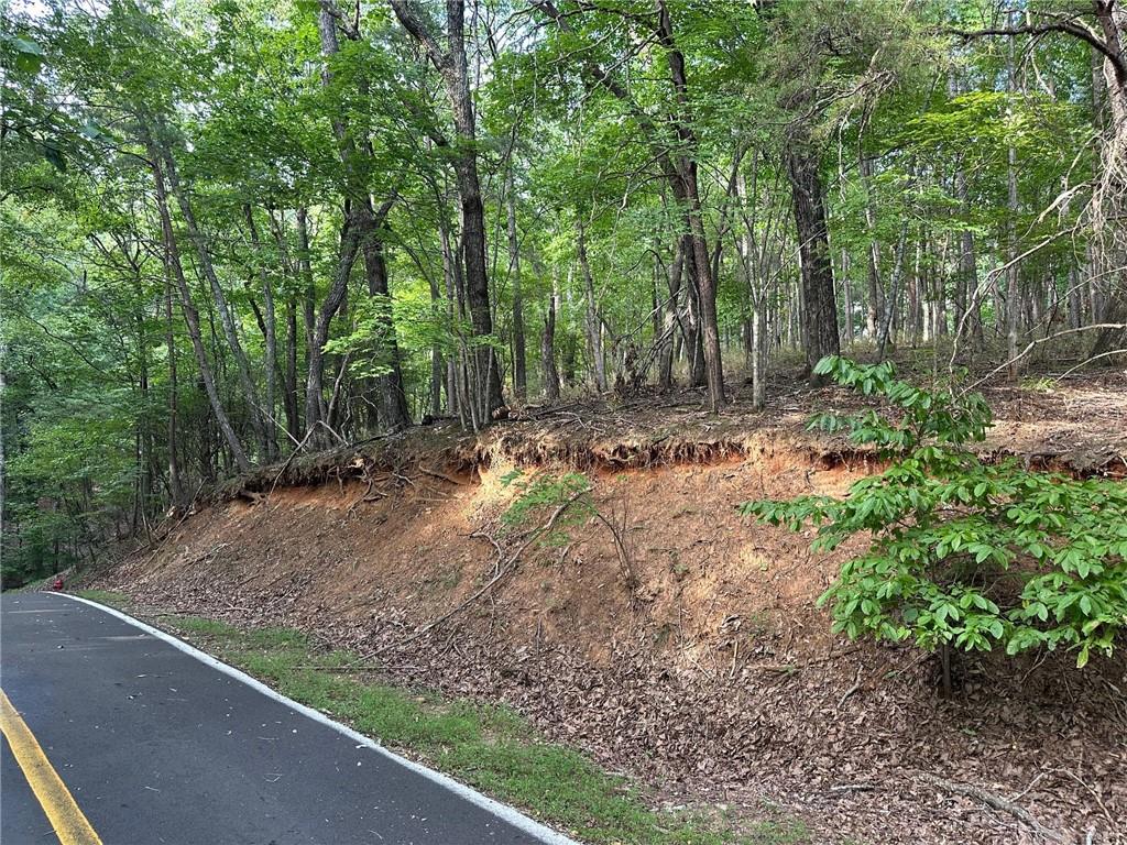 Lt1321 Coachwhip Trail Jasper, GA 30143 - Photo 4 of 28 a view of backyard with green space