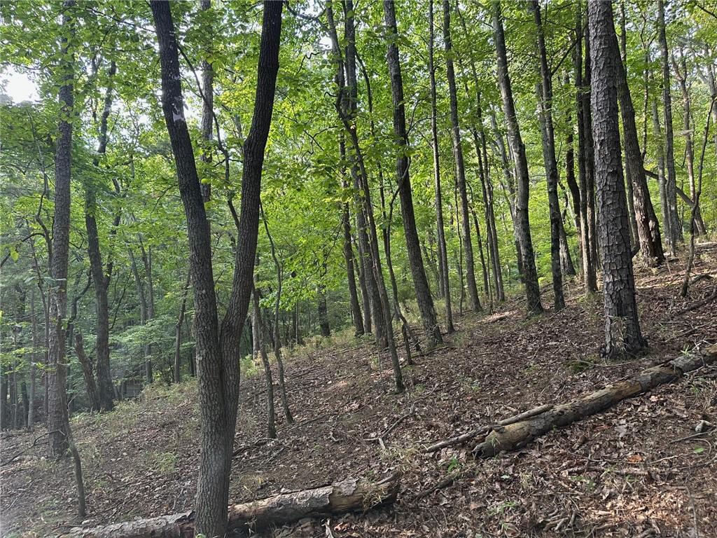 Lt1321 Coachwhip Trail Jasper, GA 30143 - Photo 7 of 28 a view of outdoor space and green space