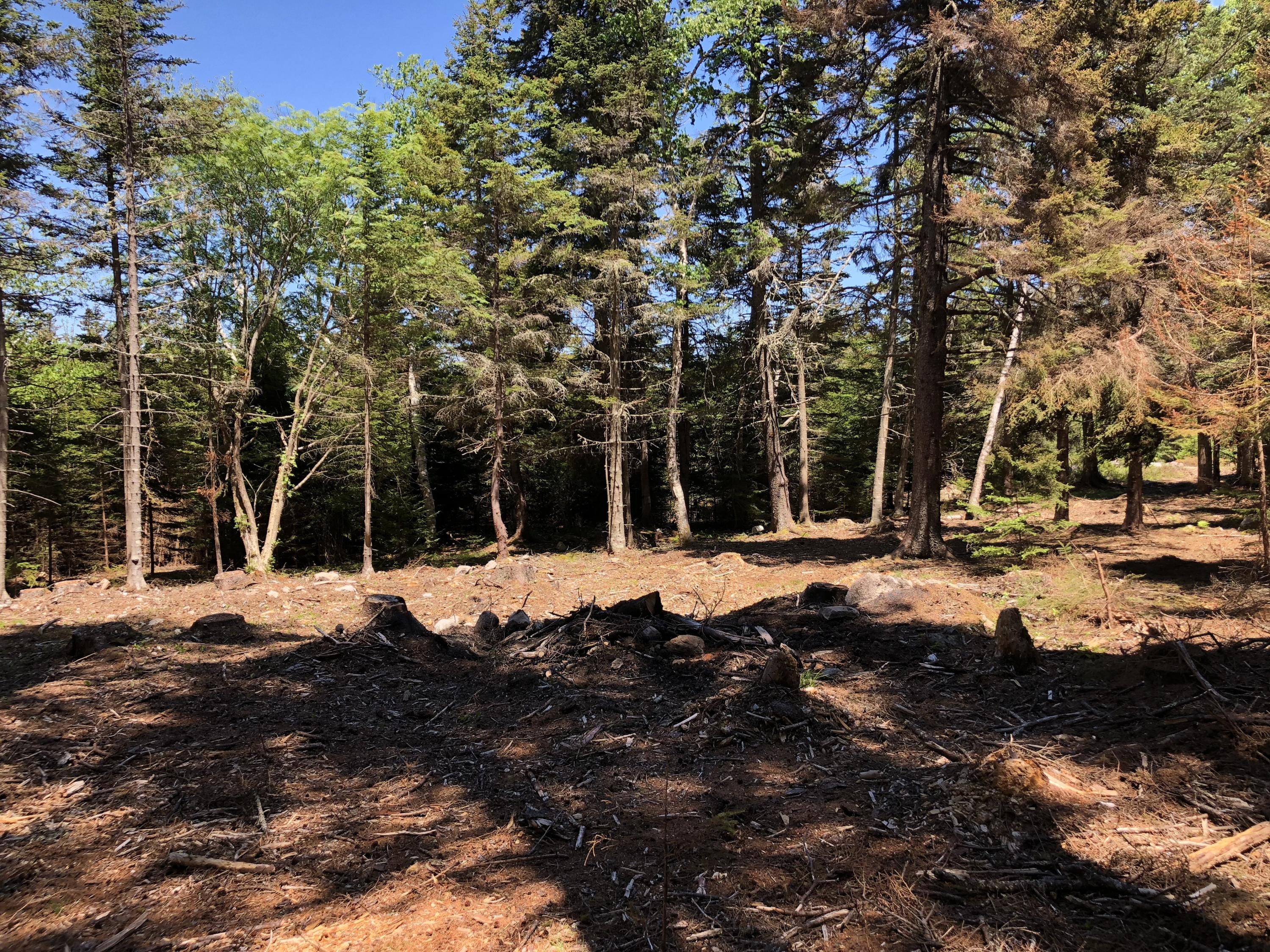 413 Minturn Road Swans Island, ME 04685 - Photo 22 of 26 JInB5DABT0Sygh%tqf4y5A