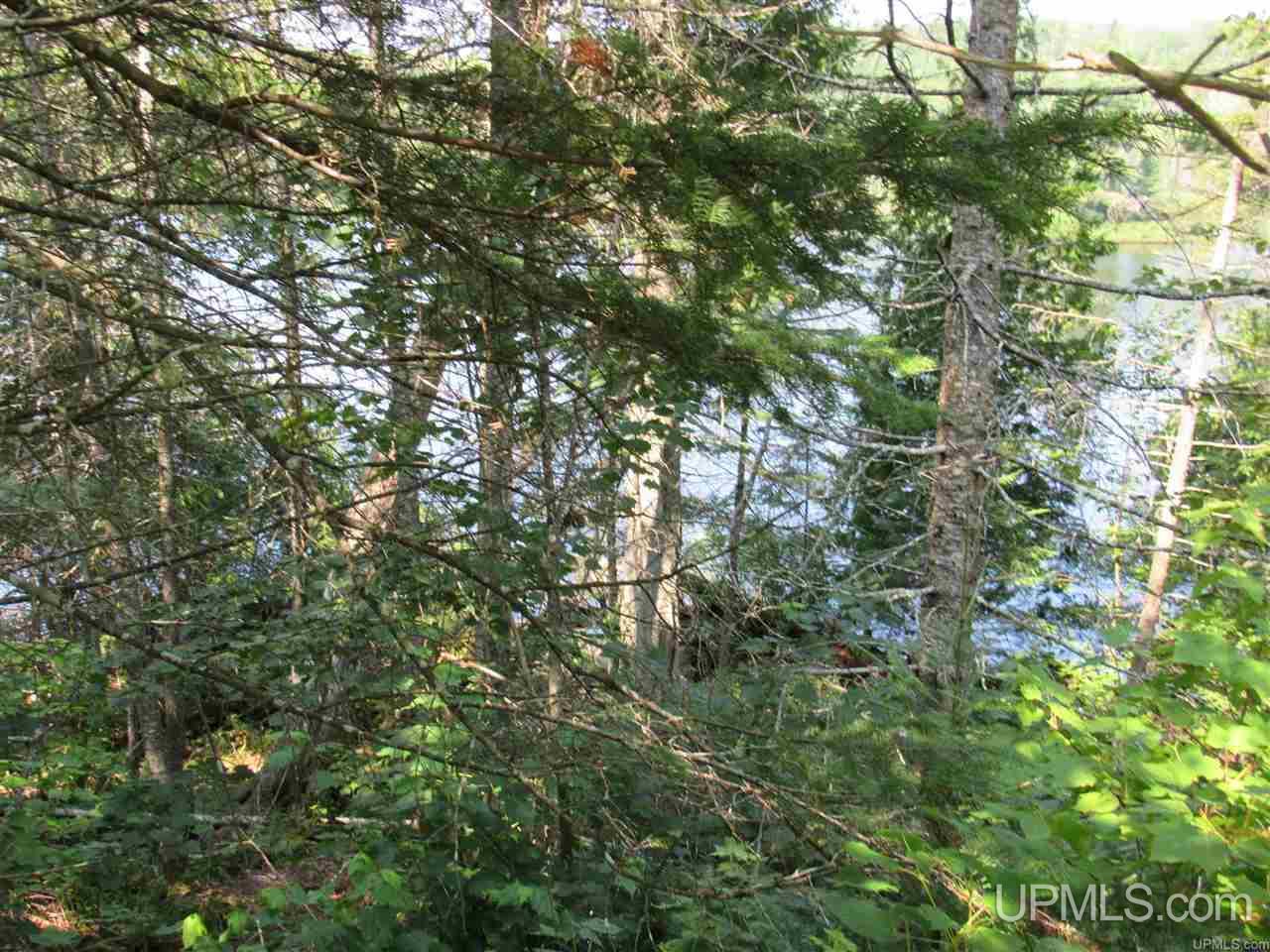 Tbd Berry Road Michigamme, MI 49861 - Photo 15 of 17