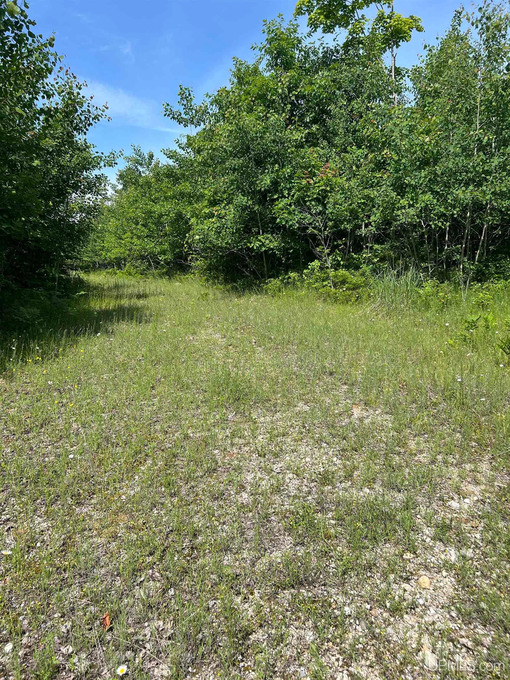 Tbd Chalk Hills Road Daggett, MI 49821 - Photo 53 of 59 Gallery Image 53