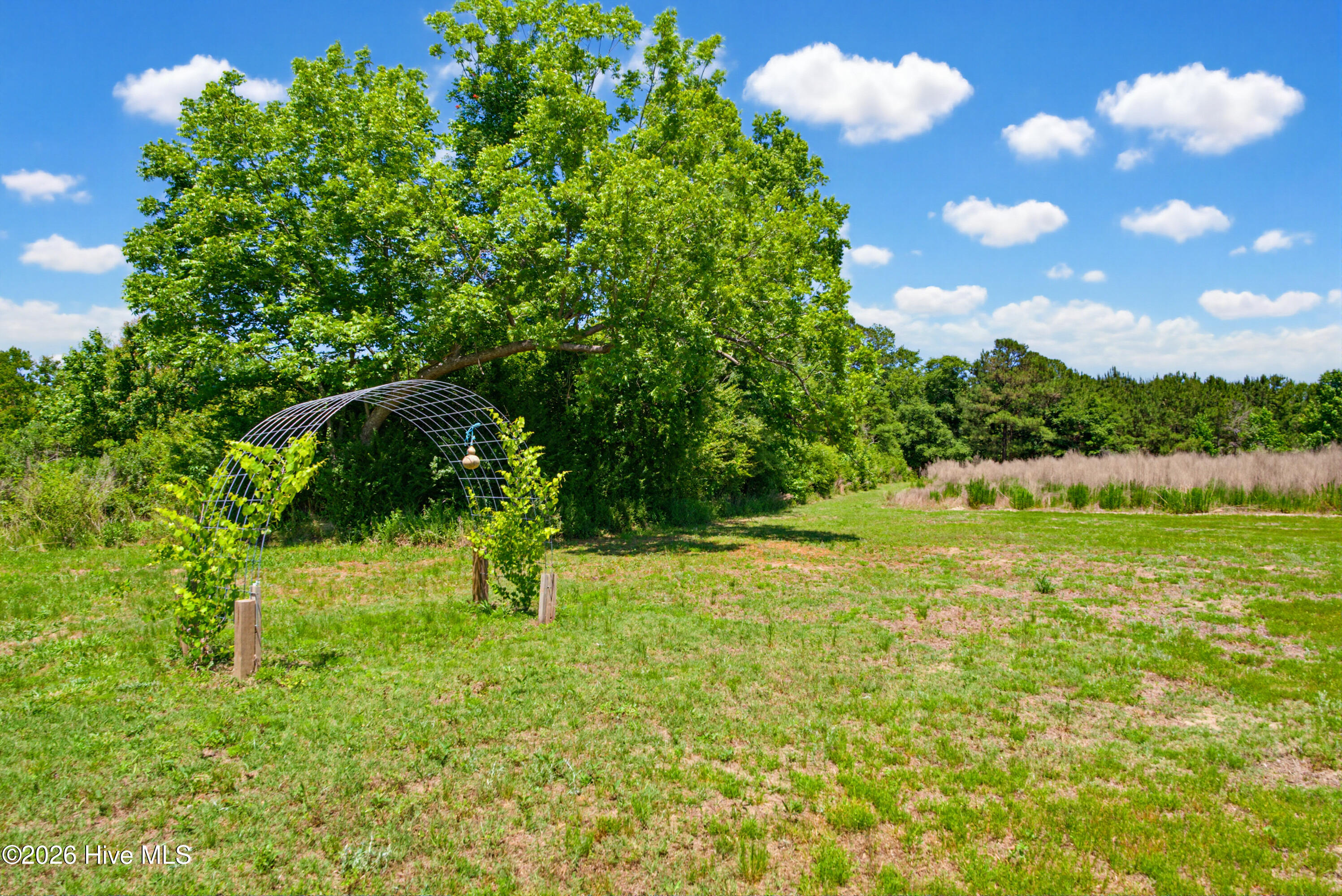 6615 Silver Spoon Road Clarkton, NC 28433 - Photo 52 of 53 MLS_Ready (39 of 40)