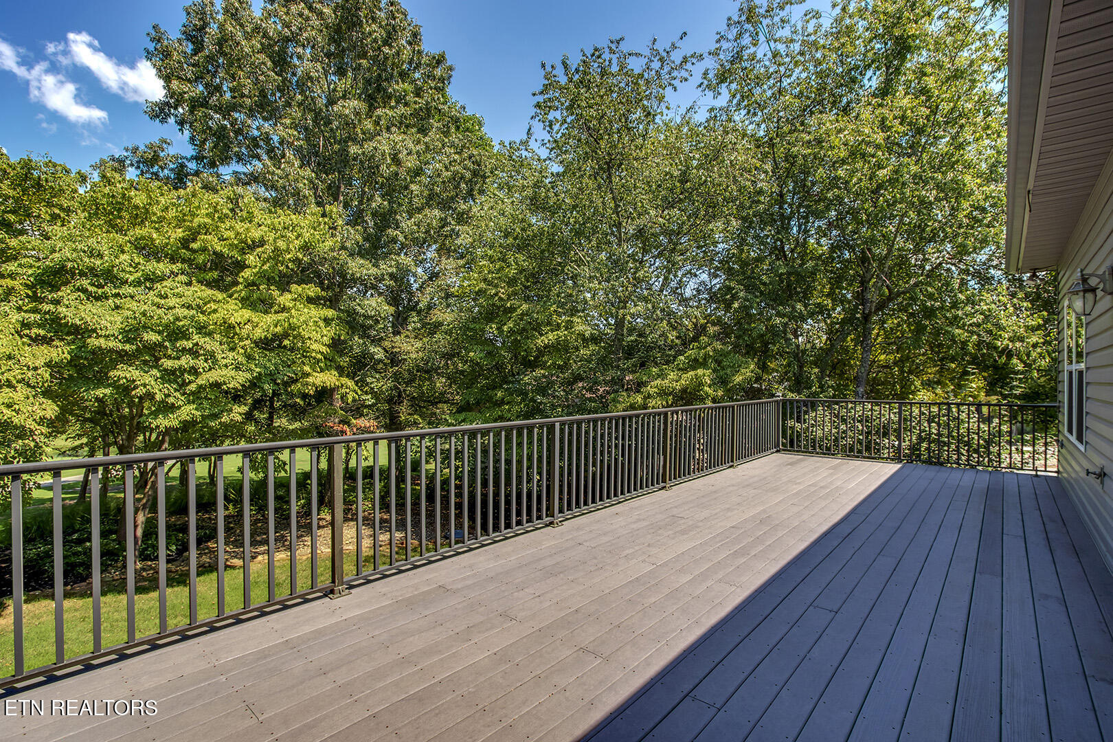 103 Eufaula Trace Loudon, TN 37774 - Photo 14 of 60 14_103 Eufaula Trace_Deck01