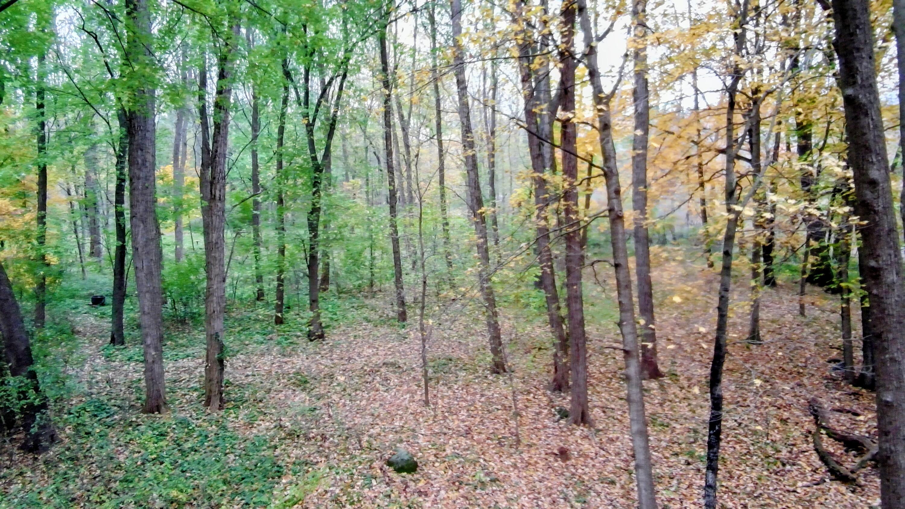 1993 Riverview Trail Fredonia, WI 53021 - Photo 7 of 12 1993 Riverview Trl