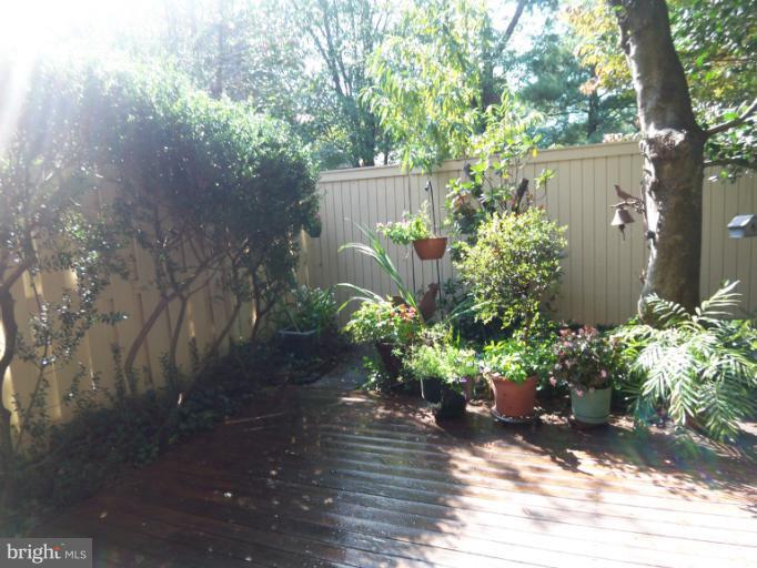 11080 Saffold Way Reston, VA 20190 - Photo 19 of 30 a view of a garden with plants and large trees