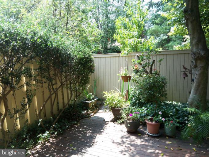 11080 Saffold Way Reston, VA 20190 - Photo 3 of 30 a view of a garden with plants and large trees