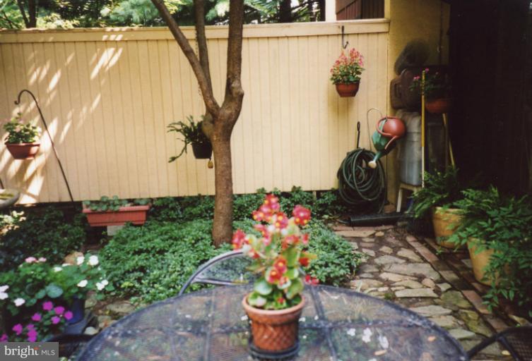 11080 Saffold Way Reston, VA 20190 - Photo 27 of 30 a view of a potted plant sitting in front of a house