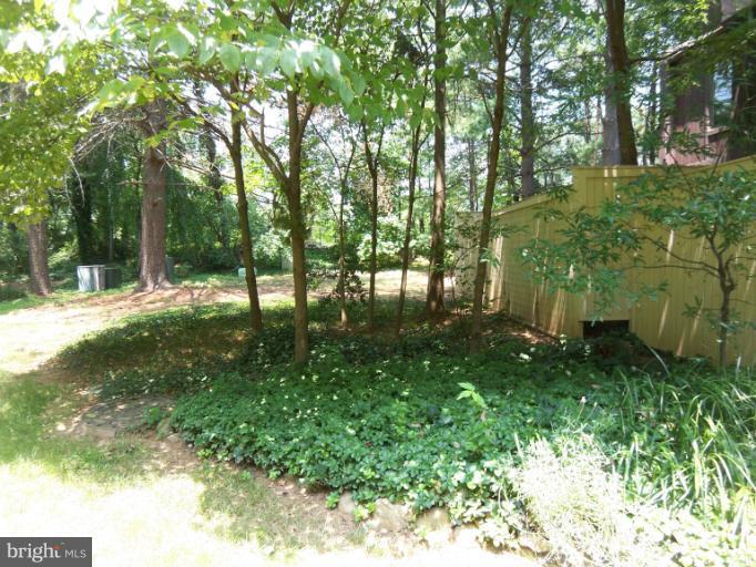11080 Saffold Way Reston, VA 20190 - Photo 4 of 30 a backyard of a house with lots of green space