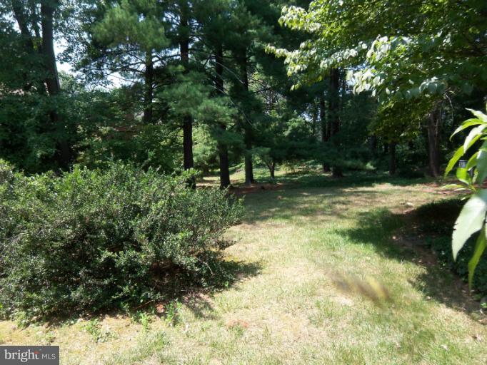 11080 Saffold Way Reston, VA 20190 - Photo 10 of 30 a backyard of a house with lots of green space