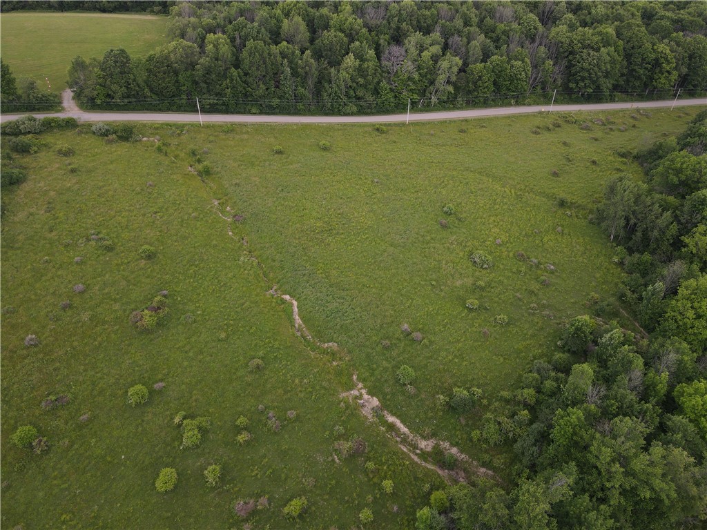 Lot 12 Beebe Hill Road Cuba, NY 14727 - Photo 4 of 13