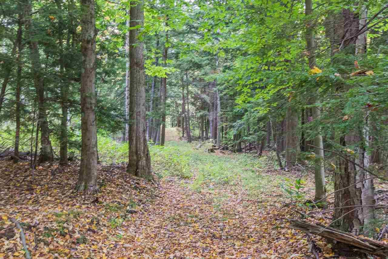 0 Clark Road Middle Grove, NY 12850 - Photo 12 of 23 Photo 12