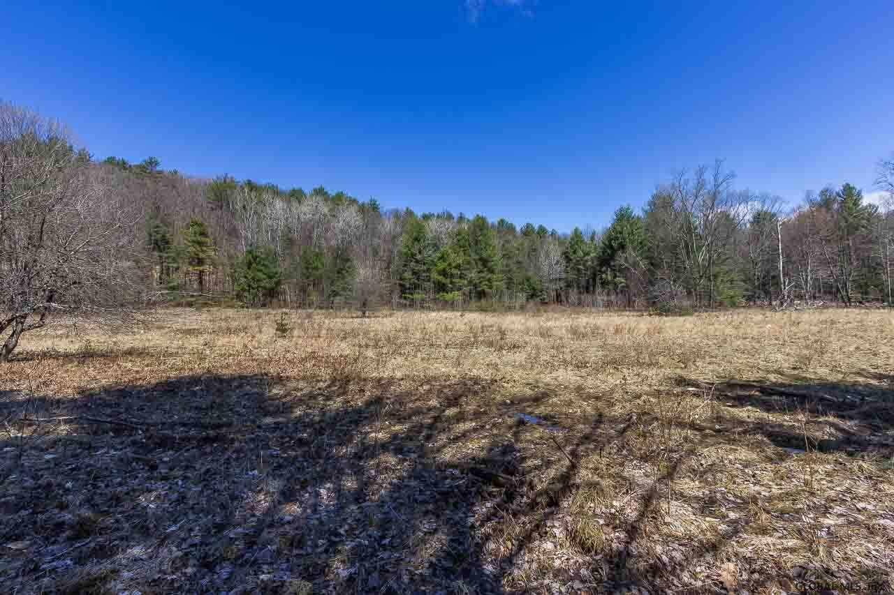 0 Clark Road Middle Grove, NY 12850 - Photo 2 of 23 Photo 2
