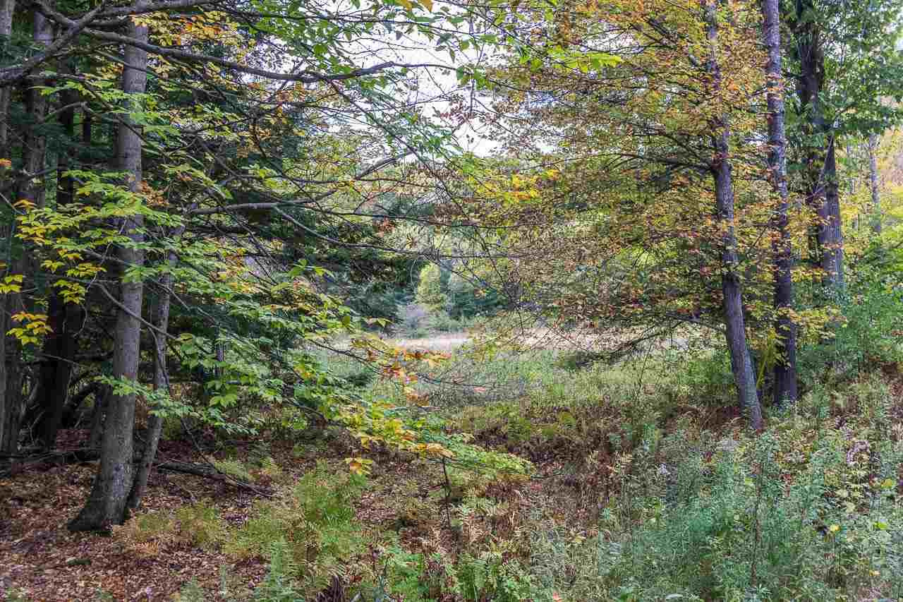 0 Clark Road Middle Grove, NY 12850 - Photo 21 of 23 Photo 21