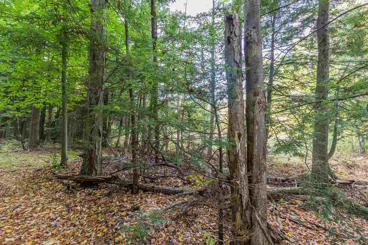 0 Clark Road Middle Grove, NY 12850 - Photo 23 of 23 Photo 23