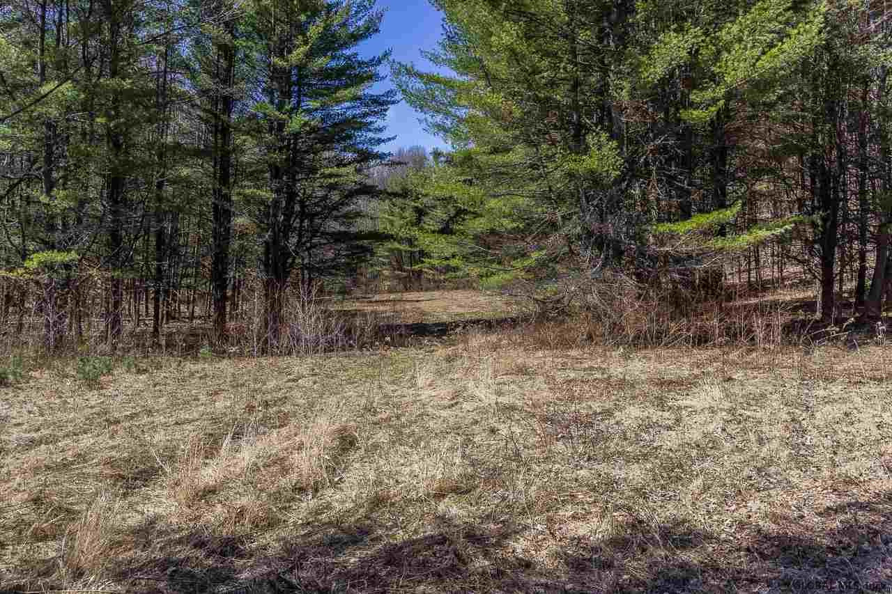 0 Clark Road Middle Grove, NY 12850 - Photo 6 of 23 Photo 6