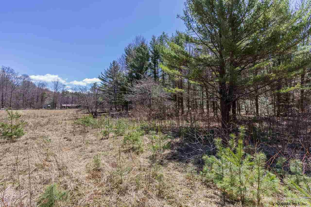 0 Clark Road Middle Grove, NY 12850 - Photo 8 of 23 Photo 8