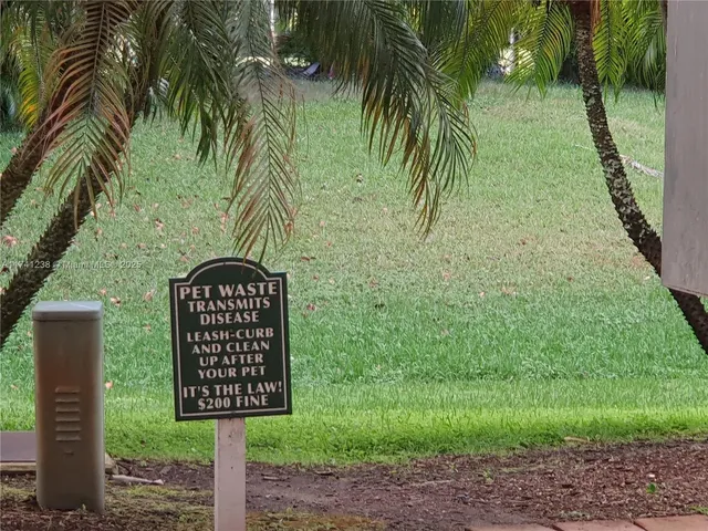 a view of a house with a yard and potted plants