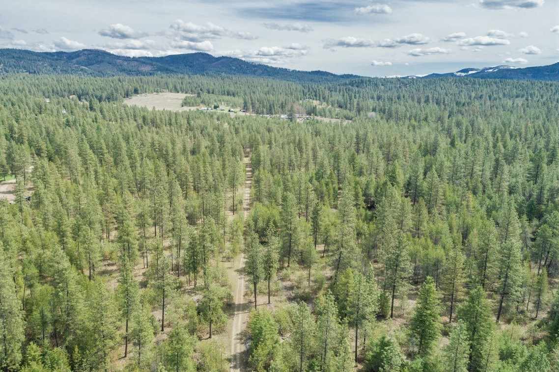 39215 North Jackson Approx Road Elk, WA 99009 - Photo 3 of 20 Gallery Image 3