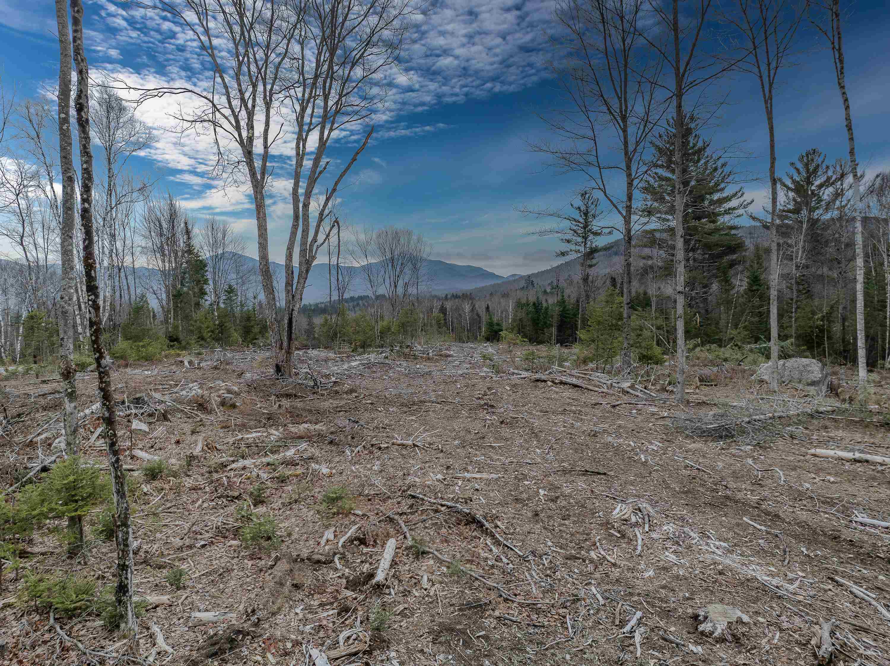 0 Ridge Road, Unit 42 Bethlehem, NH 03574 - Photo 9 of 27