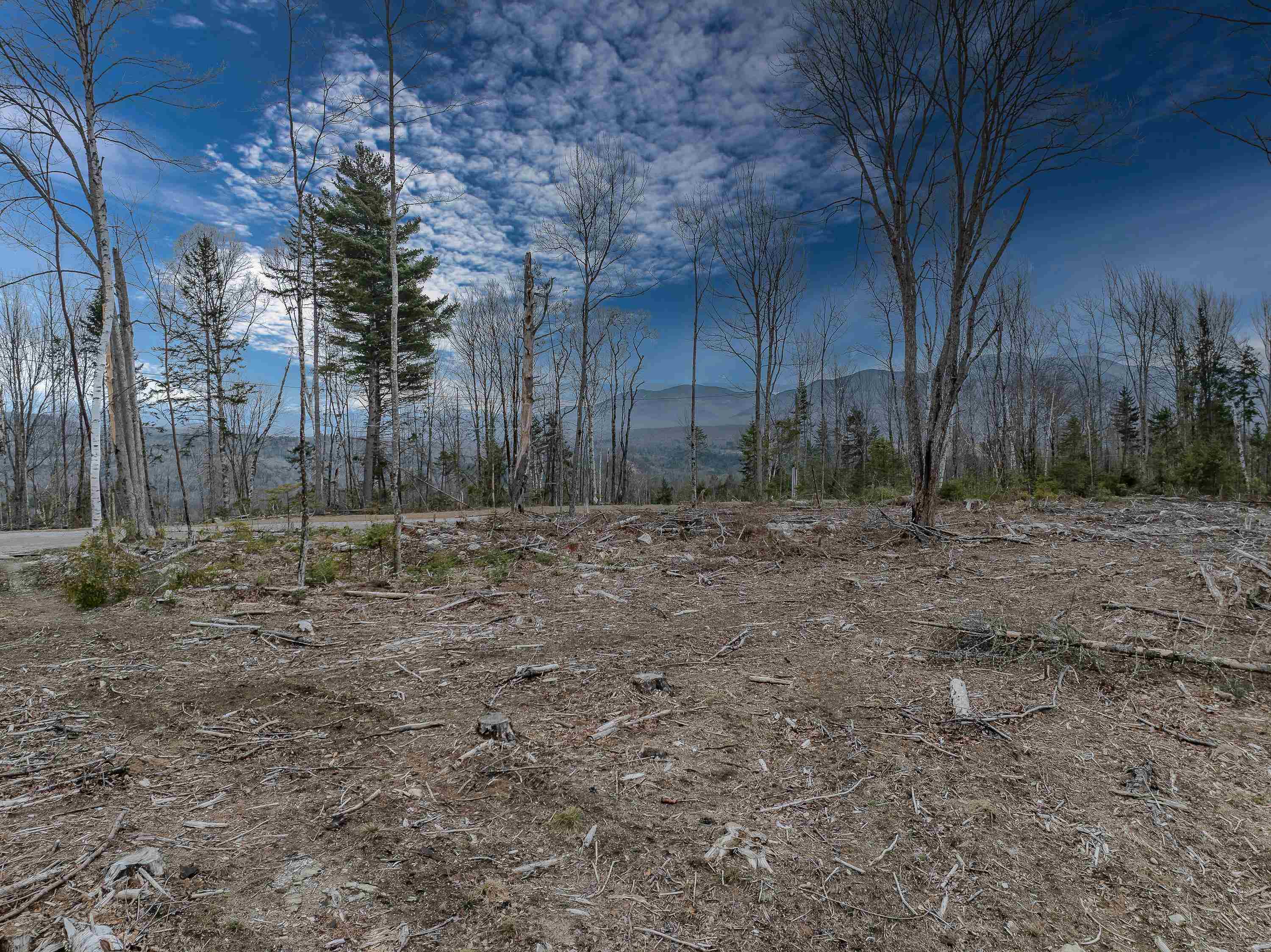 0 Ridge Road, Unit 42 Bethlehem, NH 03574 - Photo 10 of 27