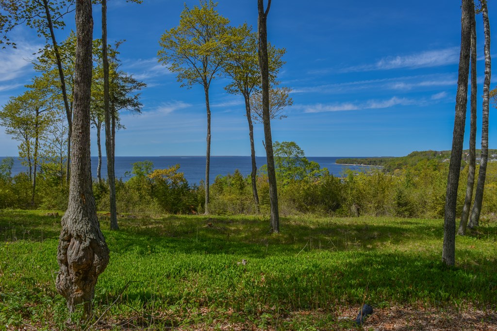 4756 Fox Point Road, Unit 411 Egg Harbor, WI 54209 - Photo 9 of 52 Gallery Image 9