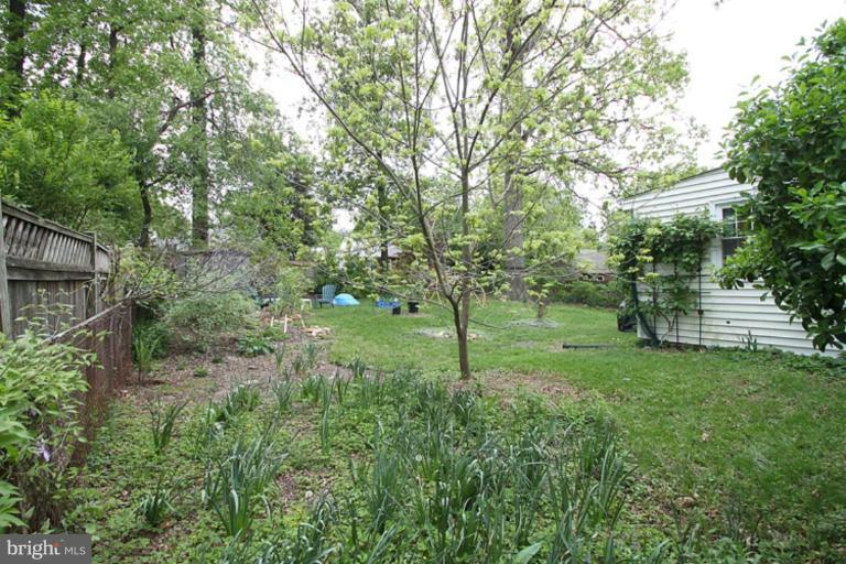 2708 Elnora Street Silver Spring, MD 20902 - Photo 19 of 19 Back yard