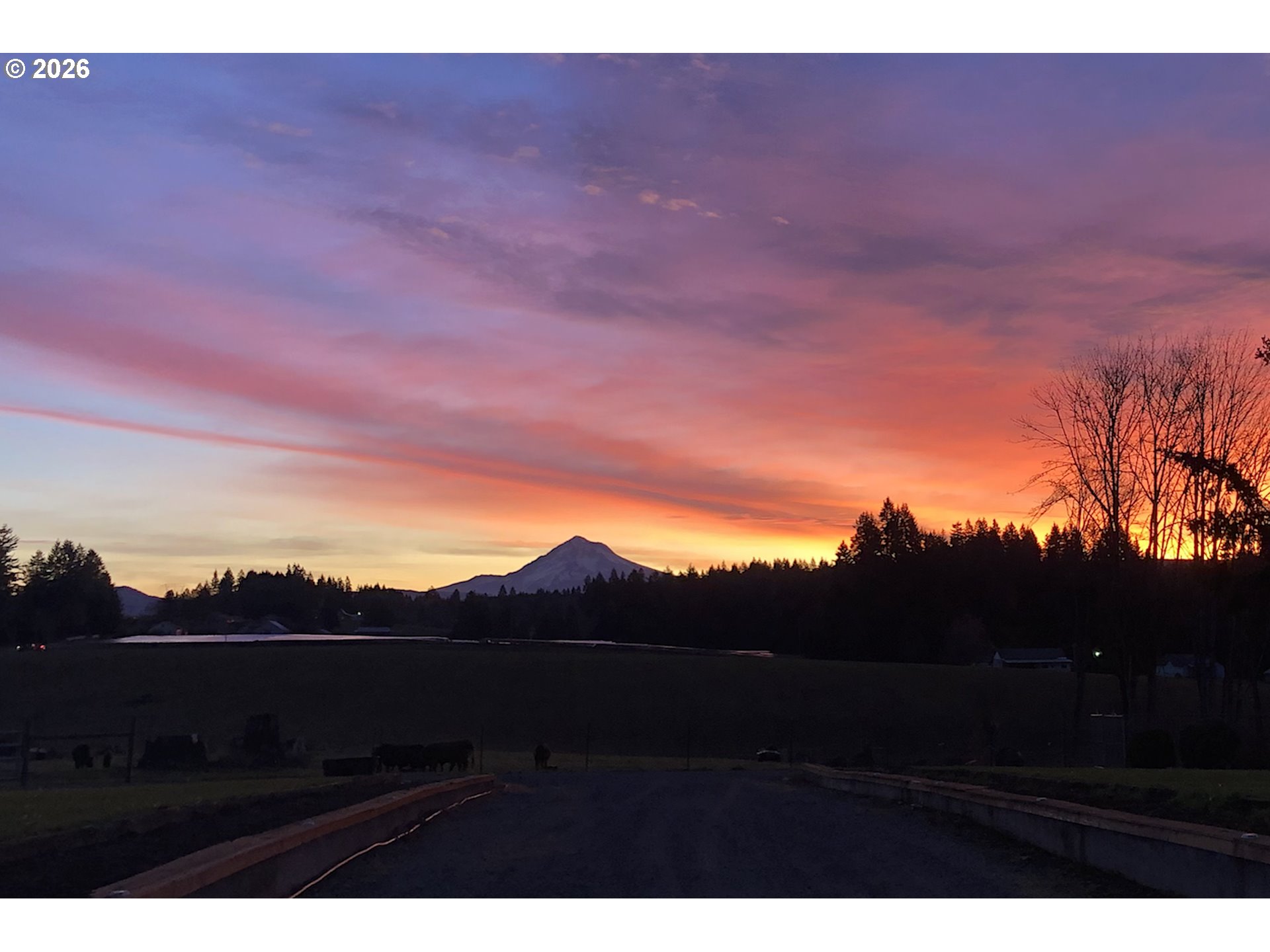 38100 Southeast Trubel Road Sandy, OR 97055 - Photo 17 of 48 a view of outdoor space and mountain view