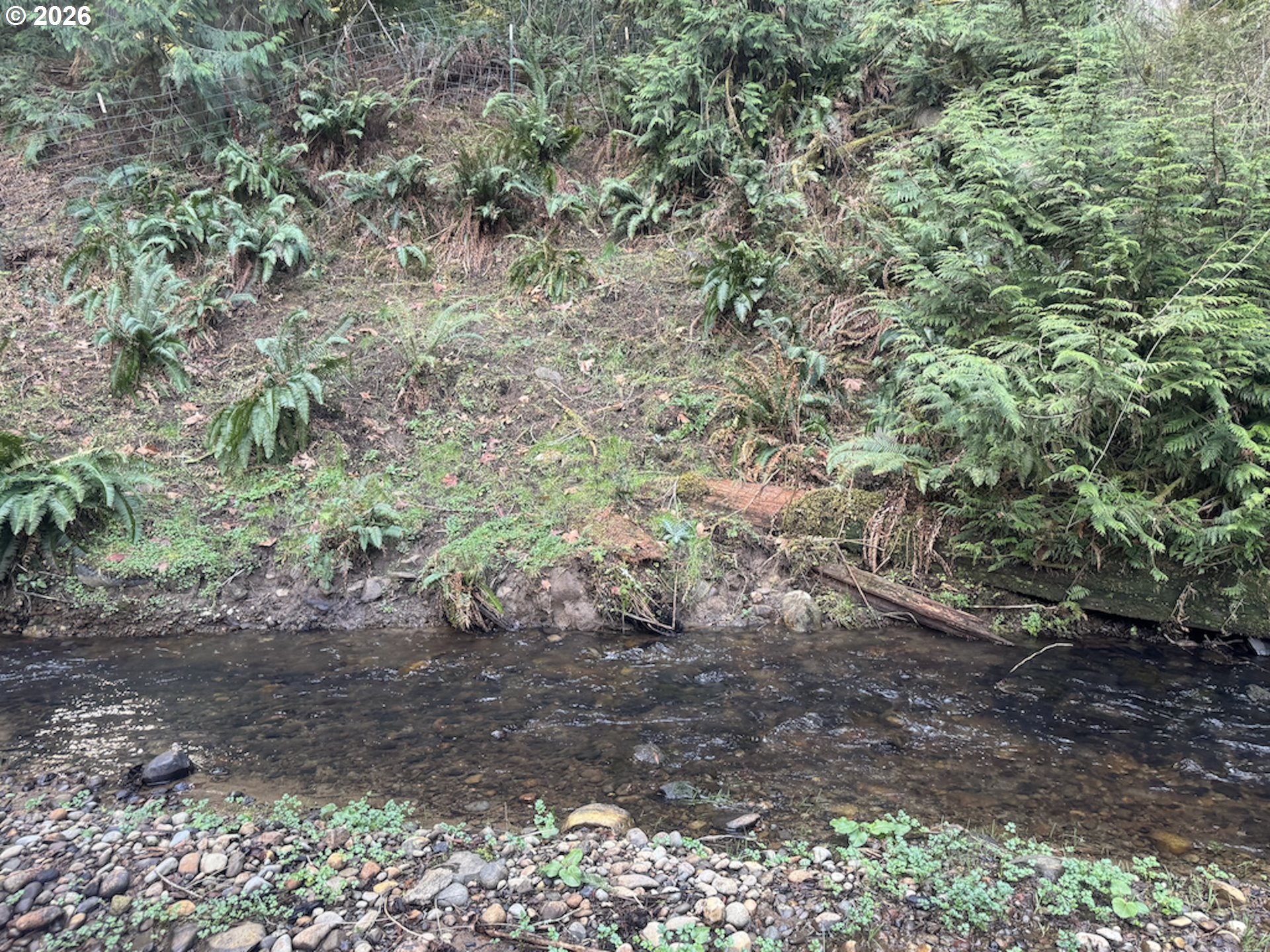 38100 Southeast Trubel Road Sandy, OR 97055 - Photo 44 of 48 a view of a yard with plants and trees