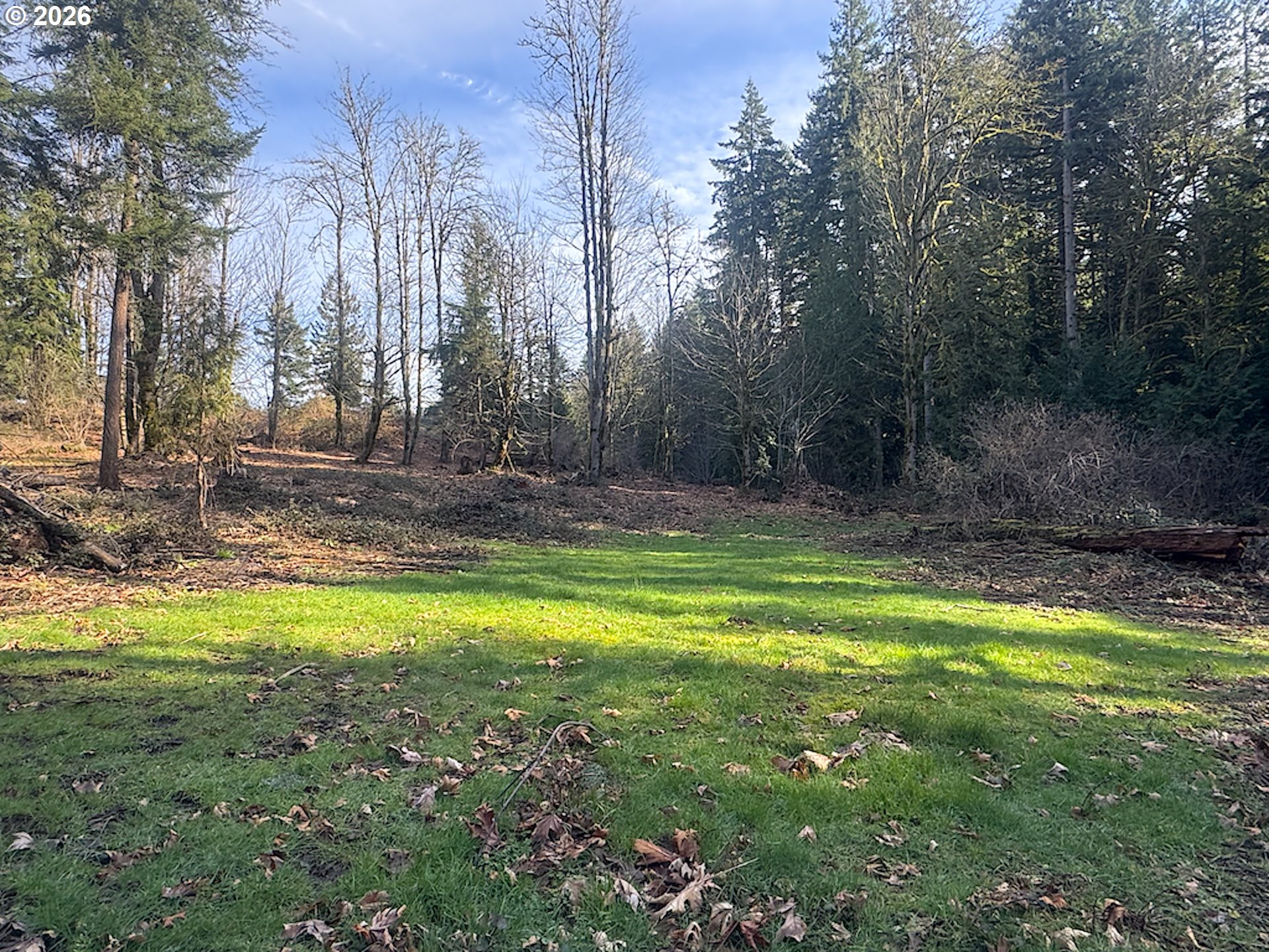 38100 Southeast Trubel Road Sandy, OR 97055 - Photo 45 of 48 a backyard of a house with lots of green space