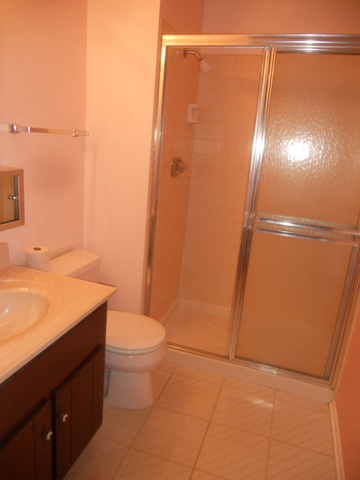 969 Golf Course Road, Unit 6 Crystal Lake, IL 60014 - Photo 10 of 13 a bathroom with a granite countertop sink toilet and shower