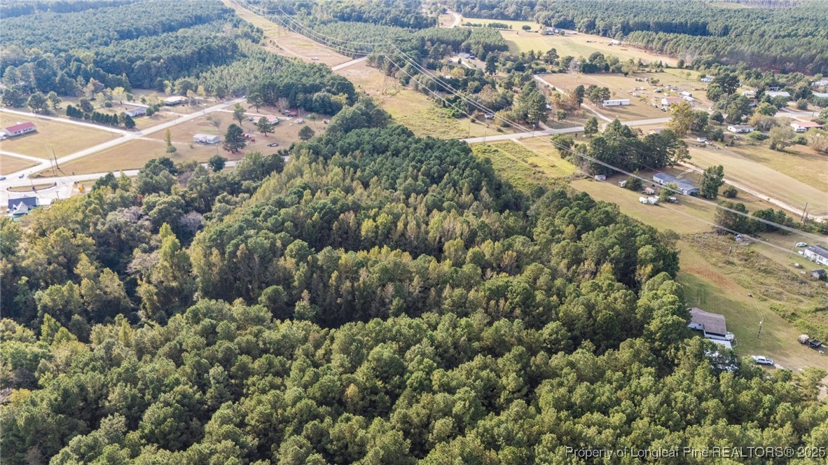 4251 Chicken Foot Road St. Pauls, NC 28384 - Photo 11 of 18