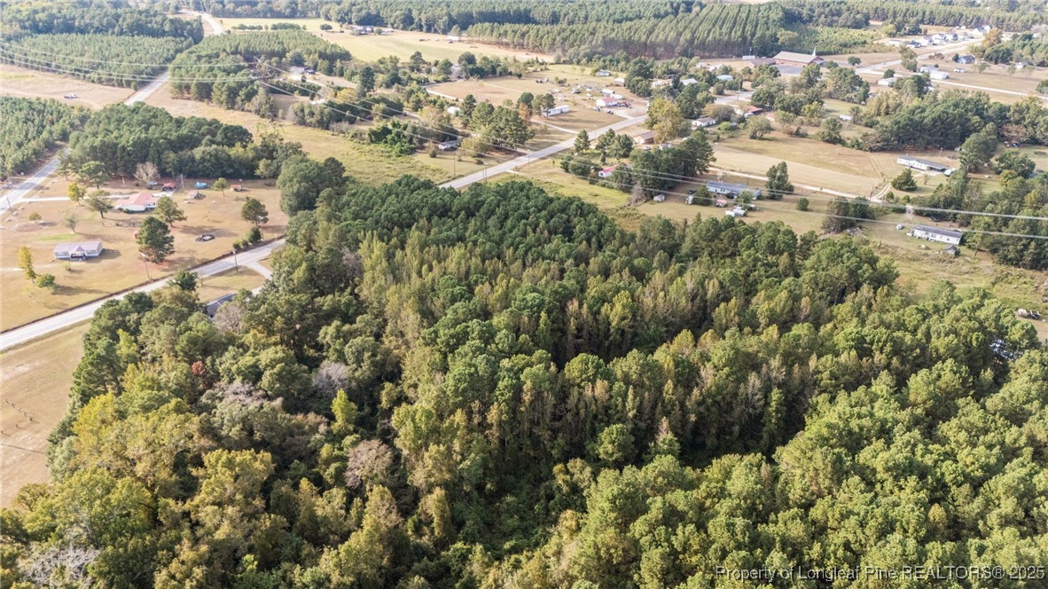 4251 Chicken Foot Road St. Pauls, NC 28384 - Photo 12 of 18