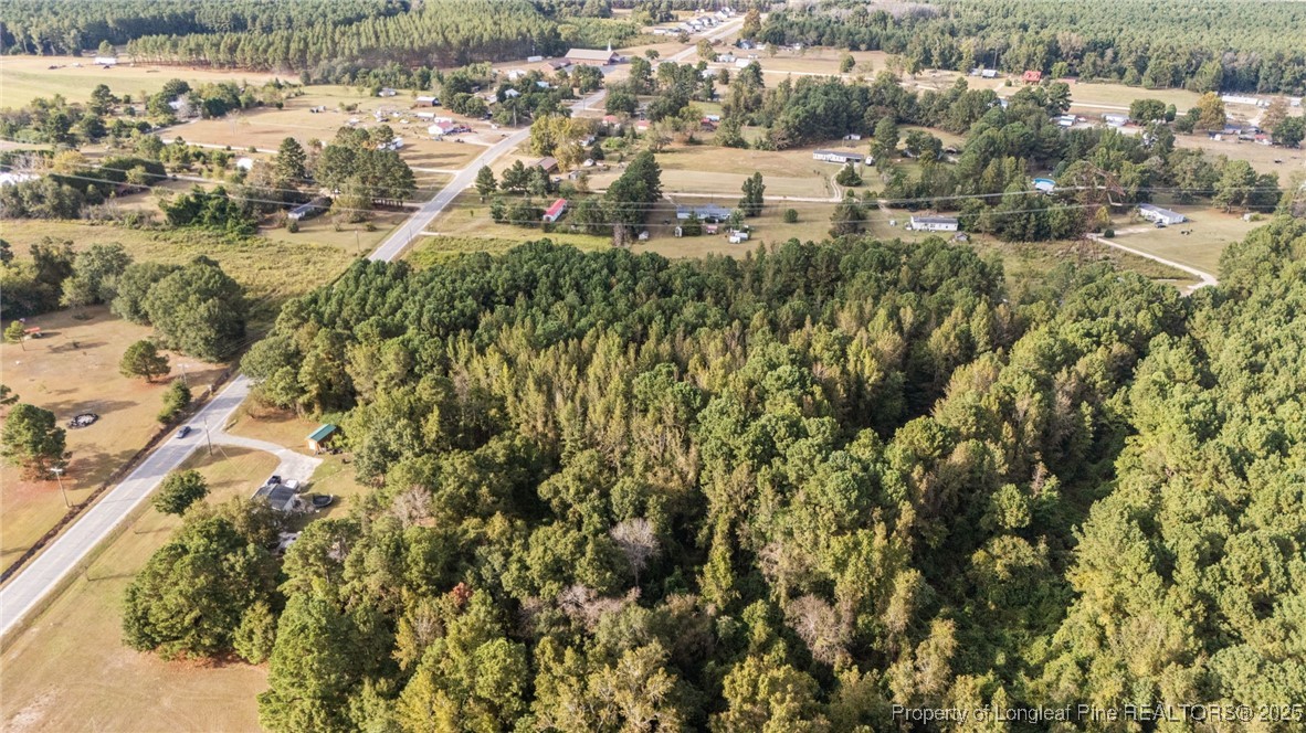 4251 Chicken Foot Road St. Pauls, NC 28384 - Photo 13 of 18