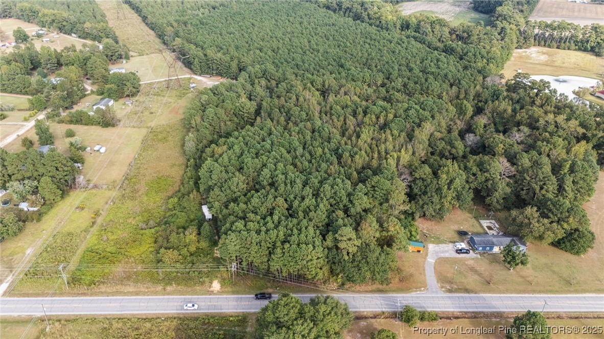 4251 Chicken Foot Road St. Pauls, NC 28384 - Photo 2 of 18