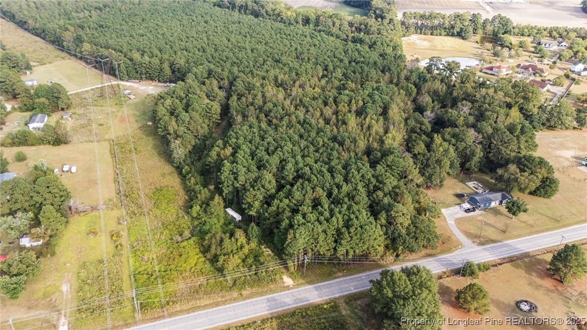 4251 Chicken Foot Road St. Pauls, NC 28384 - Photo 3 of 18