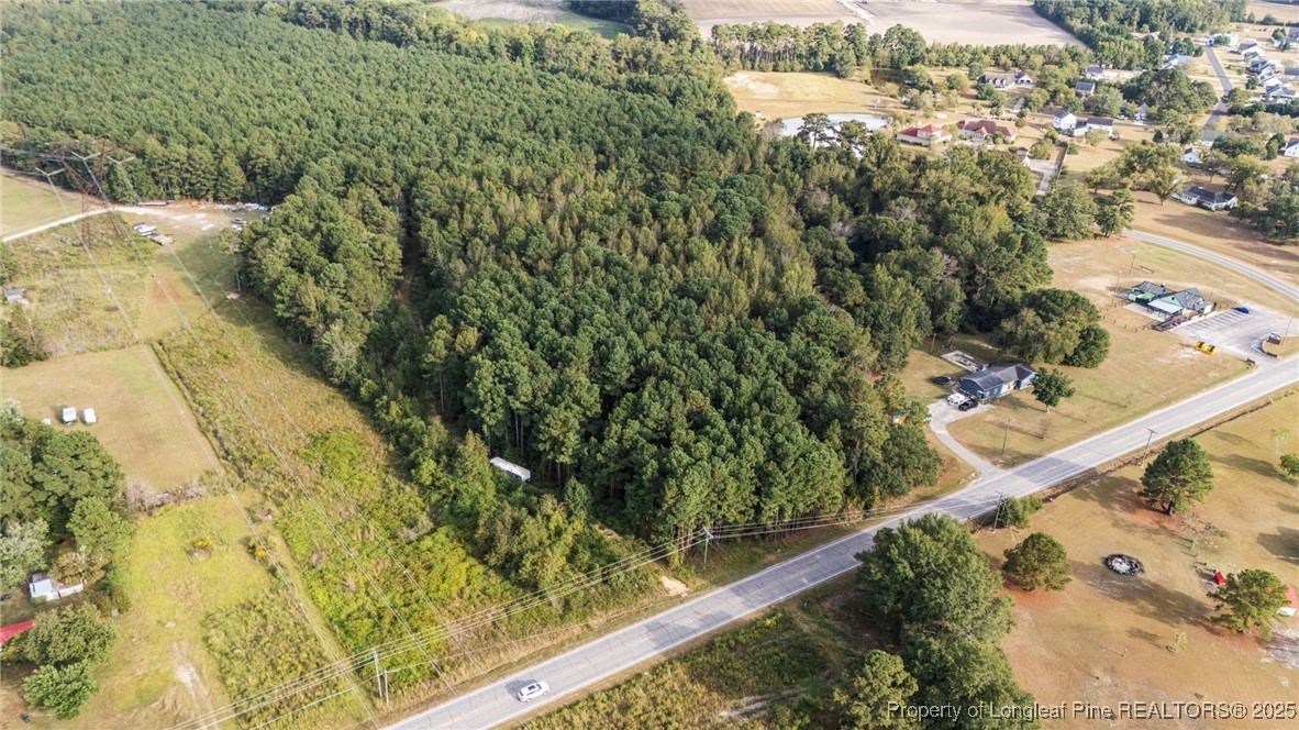 4251 Chicken Foot Road St. Pauls, NC 28384 - Photo 4 of 18