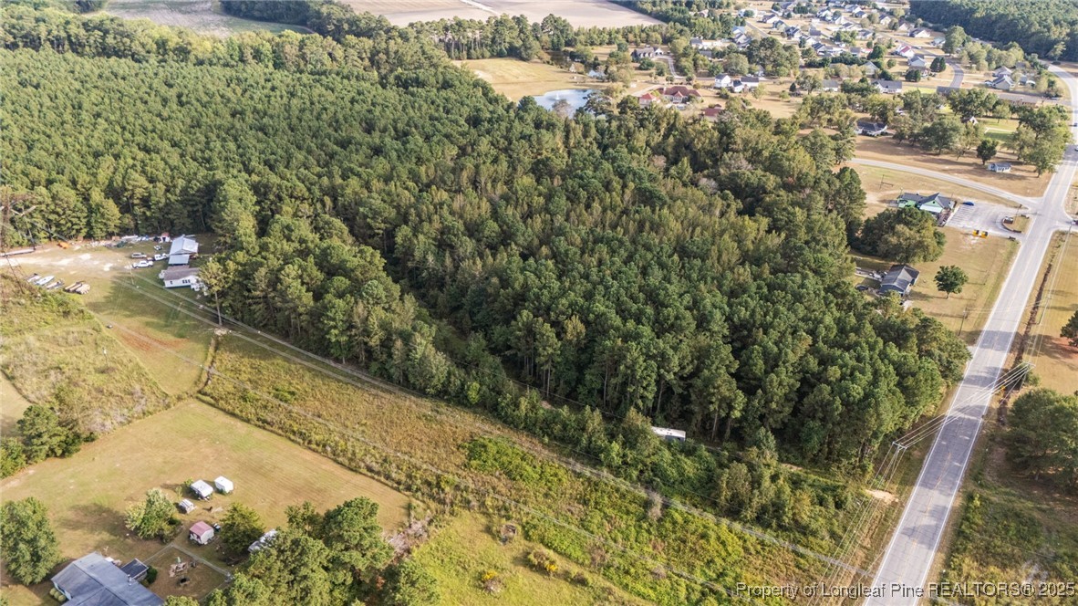 4251 Chicken Foot Road St. Pauls, NC 28384 - Photo 5 of 18