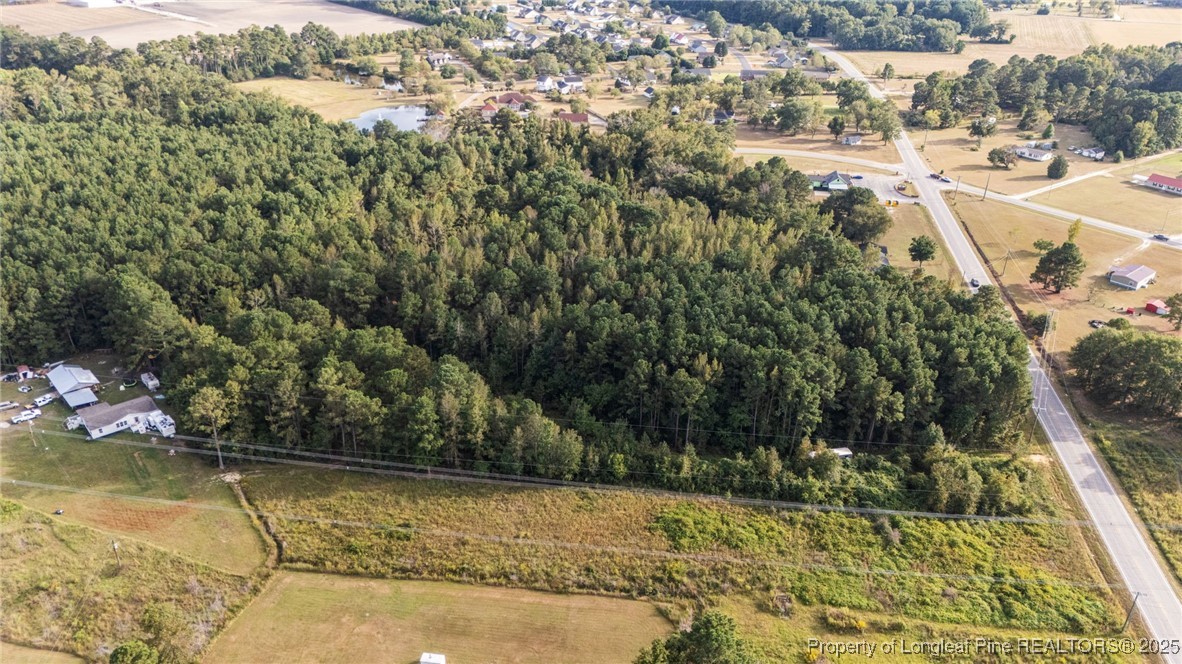 4251 Chicken Foot Road St. Pauls, NC 28384 - Photo 6 of 18