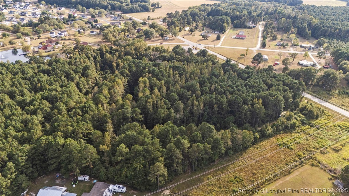 4251 Chicken Foot Road St. Pauls, NC 28384 - Photo 7 of 18