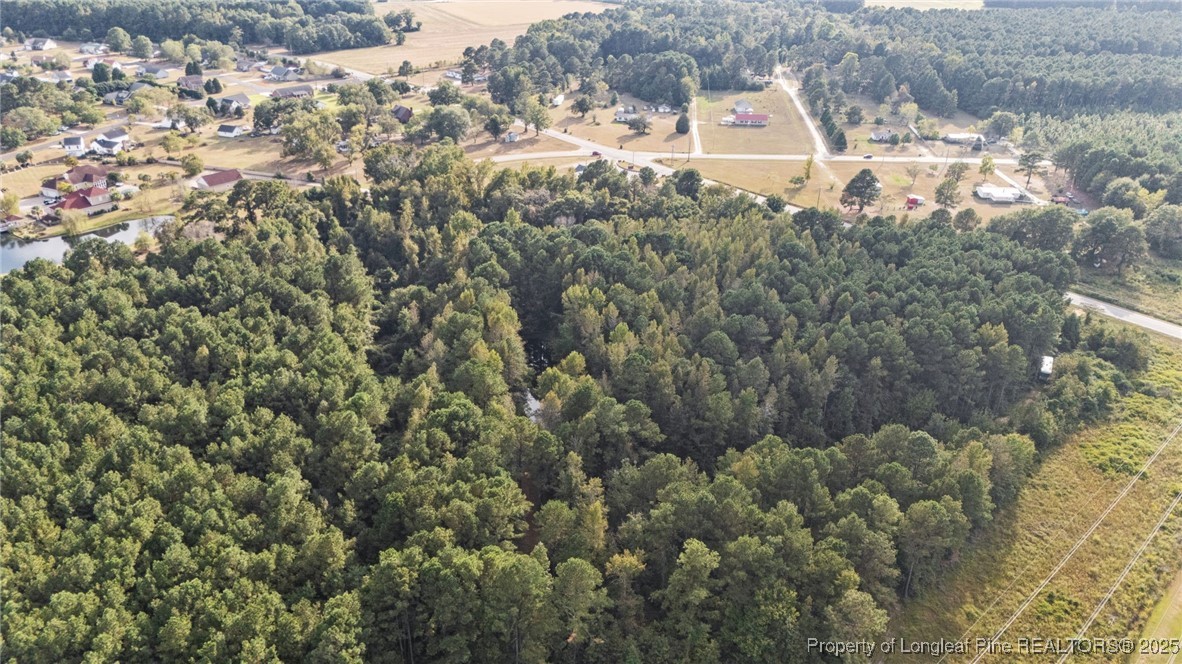 4251 Chicken Foot Road St. Pauls, NC 28384 - Photo 8 of 18