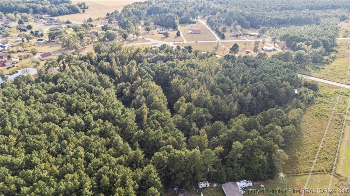 4251 Chicken Foot Road St. Pauls, NC 28384 - Photo 9 of 18